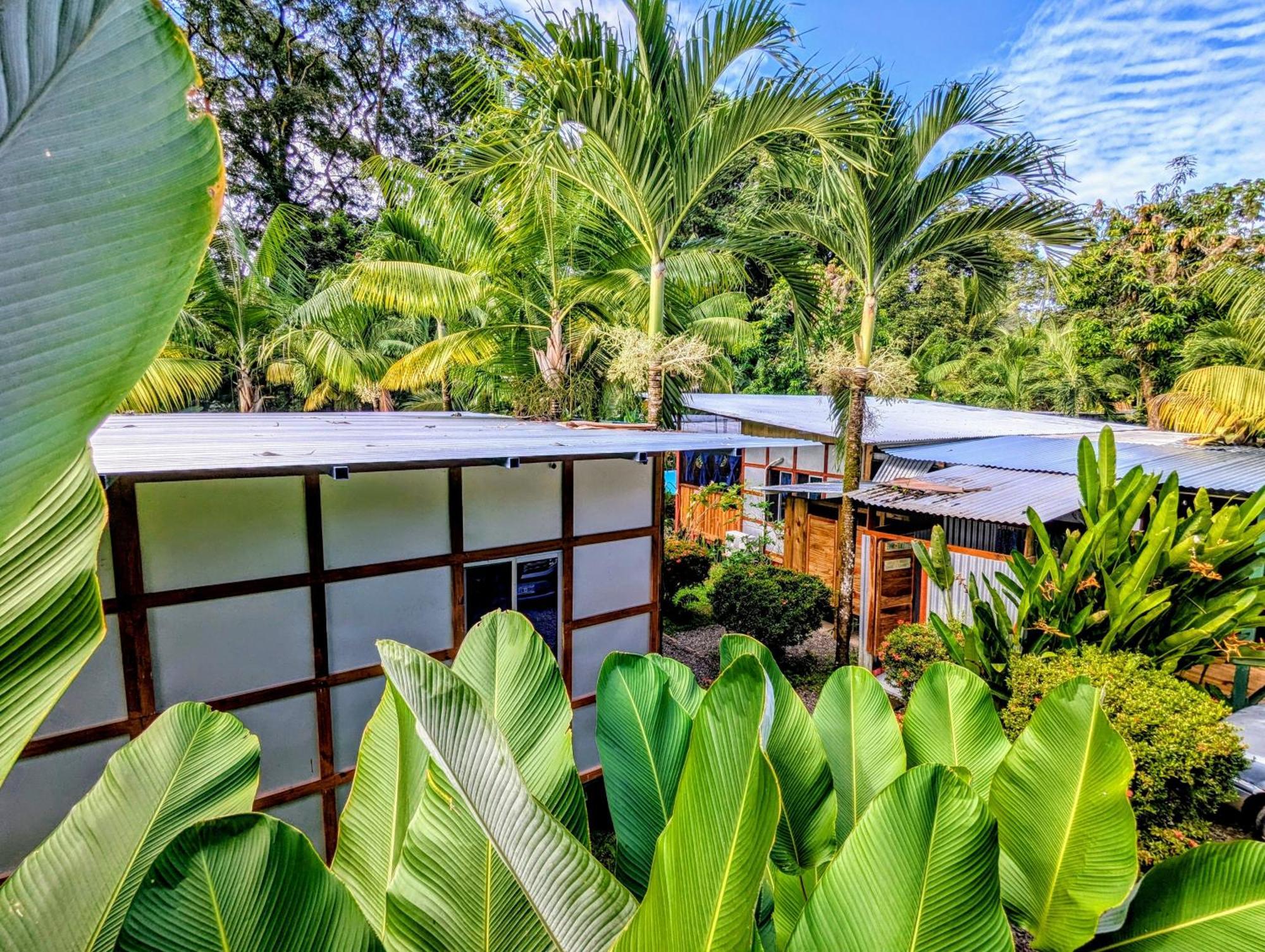 Arboura Eco Cabins Uvita Exterior foto